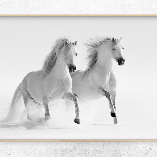 Horse Printable Horses Photo Horse Download Black and - Etsy