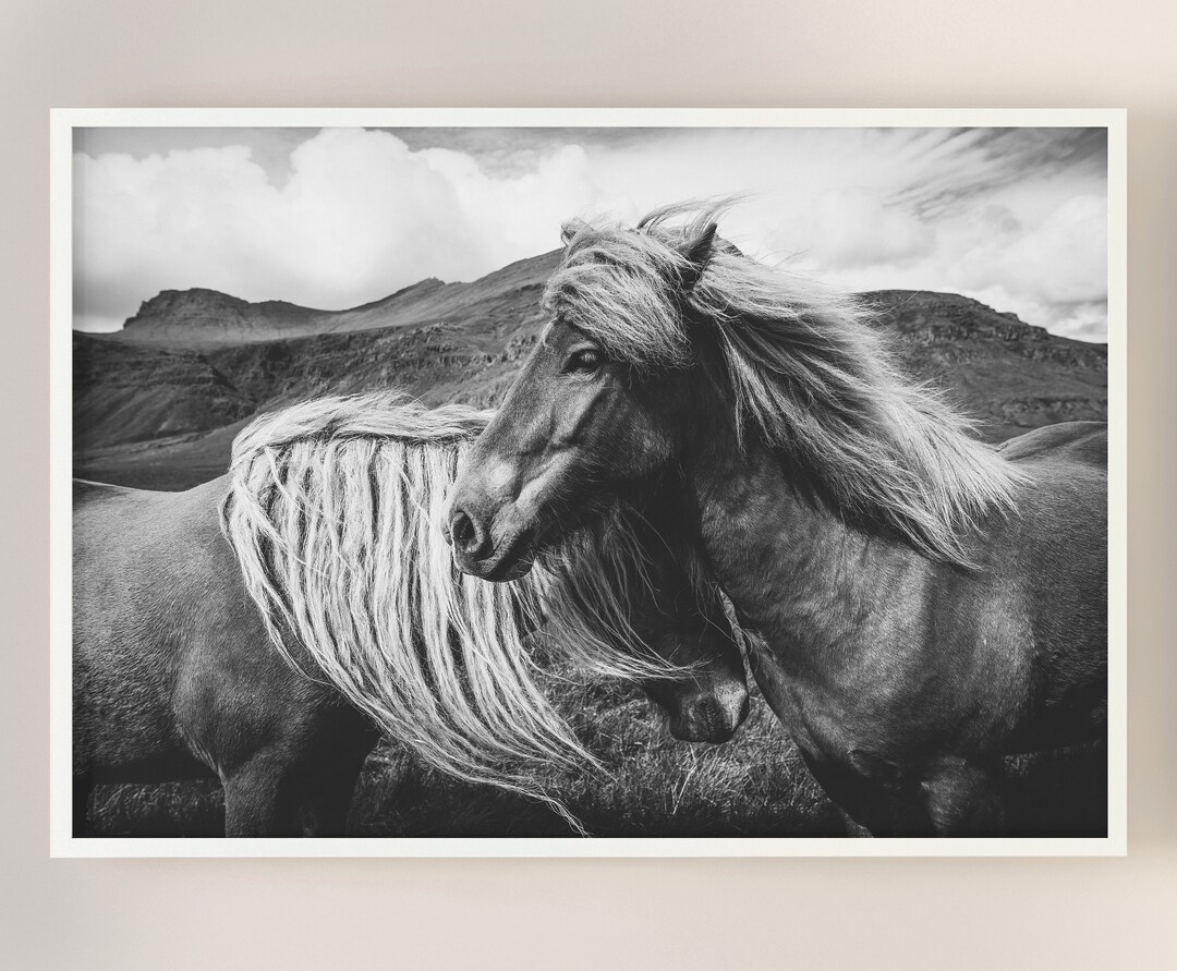 Printable Black and White Horse Photo, Animal Digital Print, Nordic ...