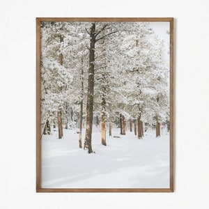 Printable  Winter forest Photo, snow Christmas scandinavian wall Decor,  monochrome Digital Art Print, pine trees Instant Download