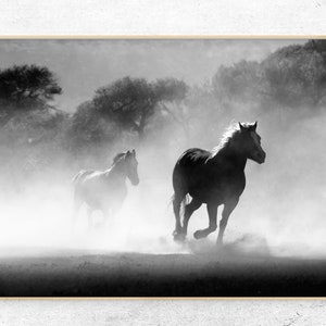 Download printable horses running in nature black and white photo digital print