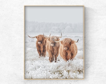 Highland Cow acrylic blank (3 inch) –