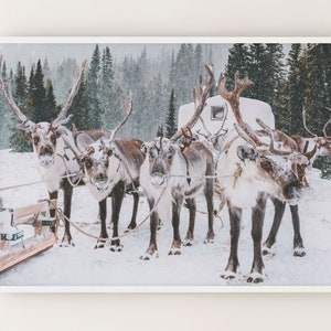 SET OF 6 Winter Forest Prints , Reindeer Photo, Chalet, Snow Christmas ...