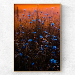 Blue wildflower field photo digital art print - Instant Download