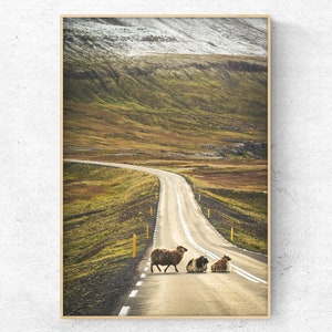 Download printable Photo of sheep in the Highlands  Art Print   - mountain animal photo art print