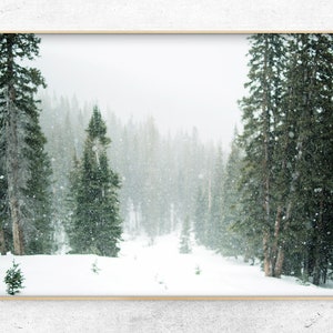 Printable  Winter forest Photo, snow Christmas scandinavian wall Decor, pine trees horizontal Digital Art Print, Instant Download
