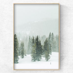 May include: A snowy winter scene with a forest of evergreen trees in the background. The trees are covered in snow and the ground is white. The sky is a light blue and there are clouds in the distance.