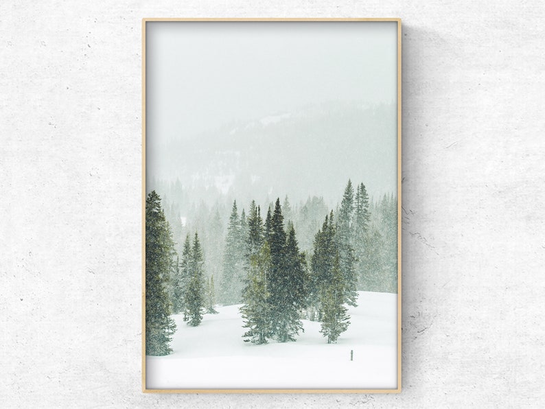 May include: A snowy winter scene with a forest of evergreen trees in the background. The trees are covered in snow and the ground is white. The sky is a light blue and there are clouds in the distance.