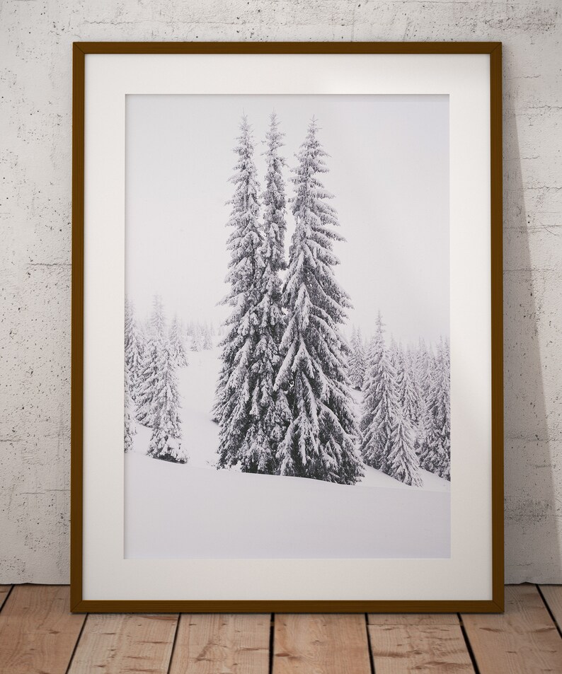 SET OF 6 Winter Forest Prints , Reindeer Photo, Log Cabin , Christmas ...