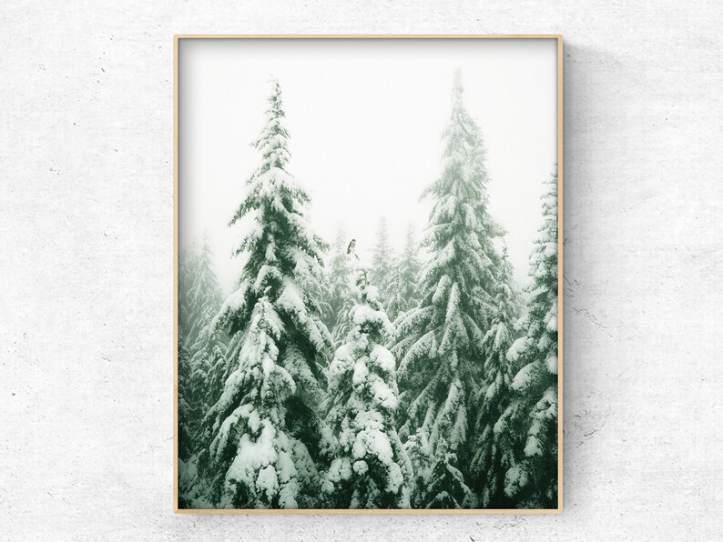 SET OF 6 Winter Forest Prints , Reindeer Photo, Chalet, Snow Christmas ...