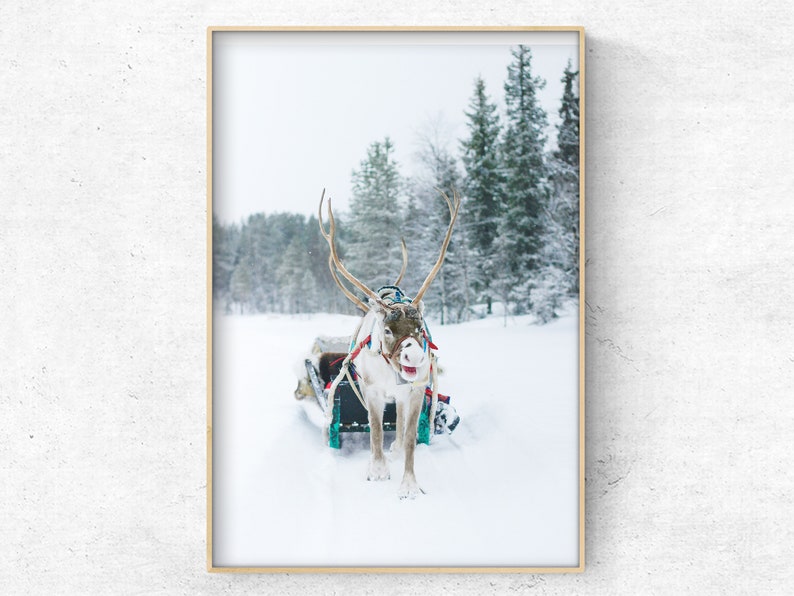 SET OF 6 Winter Forest Prints , Reindeer Photo, Chalet, Snow Christmas ...