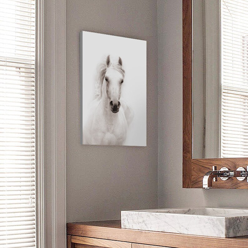 Sumgar White Horse Framed Wall Art Black and White Canvas Etsy