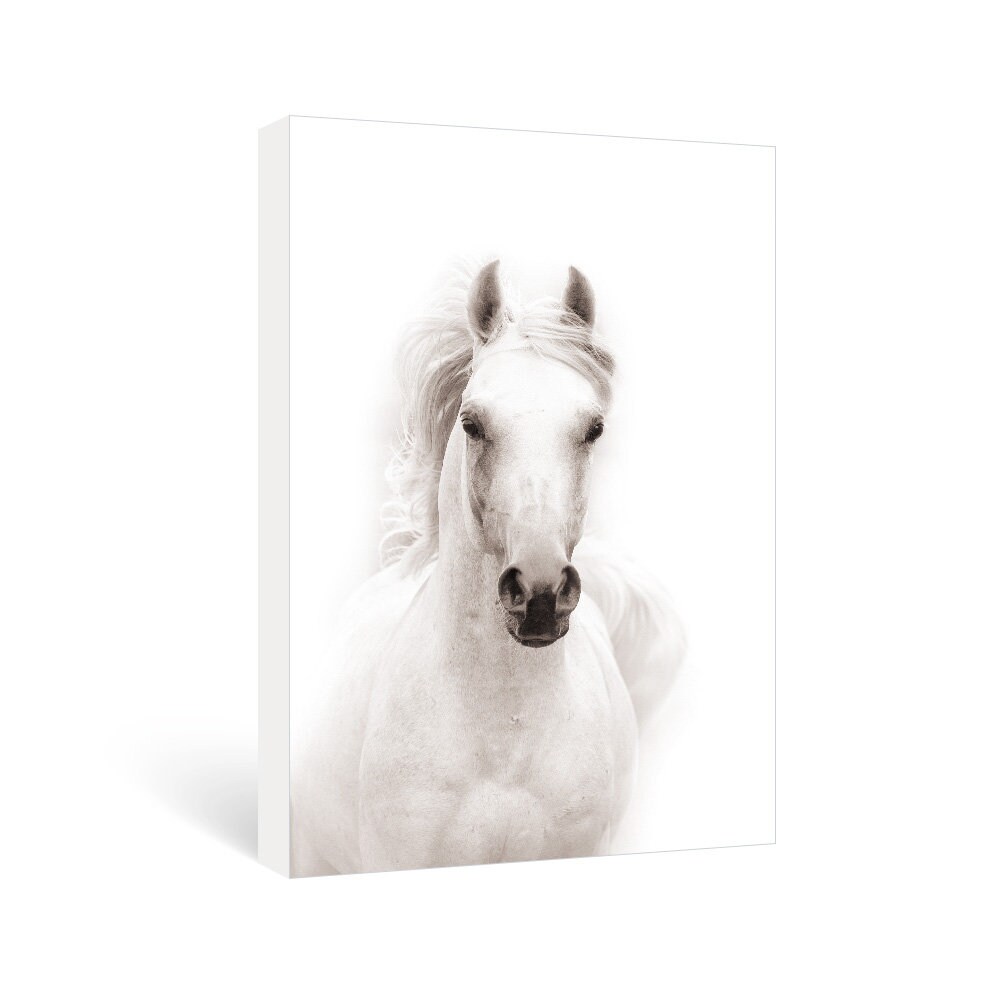Sumgar White Horse Framed Wall Art Black and White Canvas Etsy