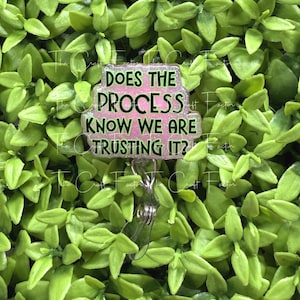 May include: A pink and green badge reel with the text "DOES THE PROCESS KNOW WE ARE TRUSTING IT?". The badge reel is rectangular and has a glittery border. The background is a bed of green leaves.