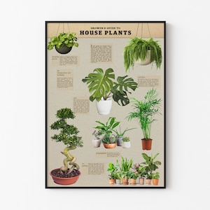 May include: A framed poster titled "Grower's Guide to House Plants" featuring various house plants, including hanging plants, a Monstera, and a bonsai tree. The poster includes text about plant care, soil, and propagation, with a neutral background.