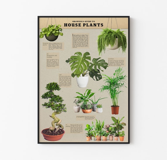 plant hanging shelf Dreamer Shelf – The Geometric Planter