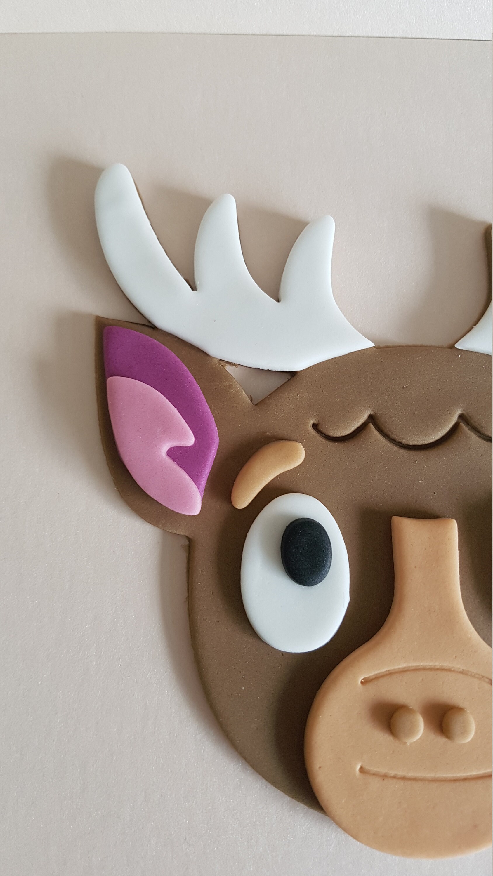 Edible Handmade Sugar Paste Fondant Icing Unofficial