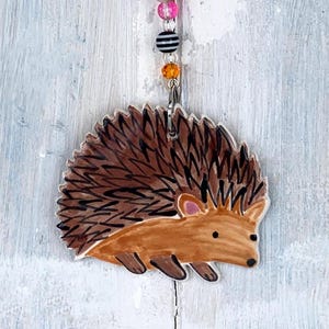 Multi-colour Hedgehog Decoration