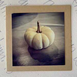 White Pumpkin - blanco 5x5 handgemaakte kaart - dankbaarheid, dankbaarheid, herfst