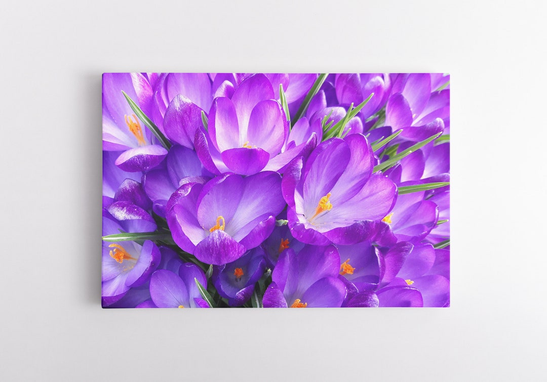 Spring Bloom Canvas Spring Bloom Canvas Wall Art Colorful Flower Artwork Wall Art for ...