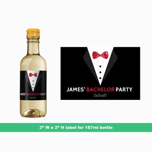 Bachelor Party personalisierte Hochzeit Mini Wein Etiketten | Trauzeuge Fragen Geschenk | Groomsman Labels | Mini-Flaschenetiketten | 187 ml Flaschenetiketten