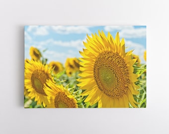 Sunflower Canvas Wall Art | Wall Art for Living Room, Bedroom | Sunflower Artwork | Floral Decoration | Art Ready to Hang