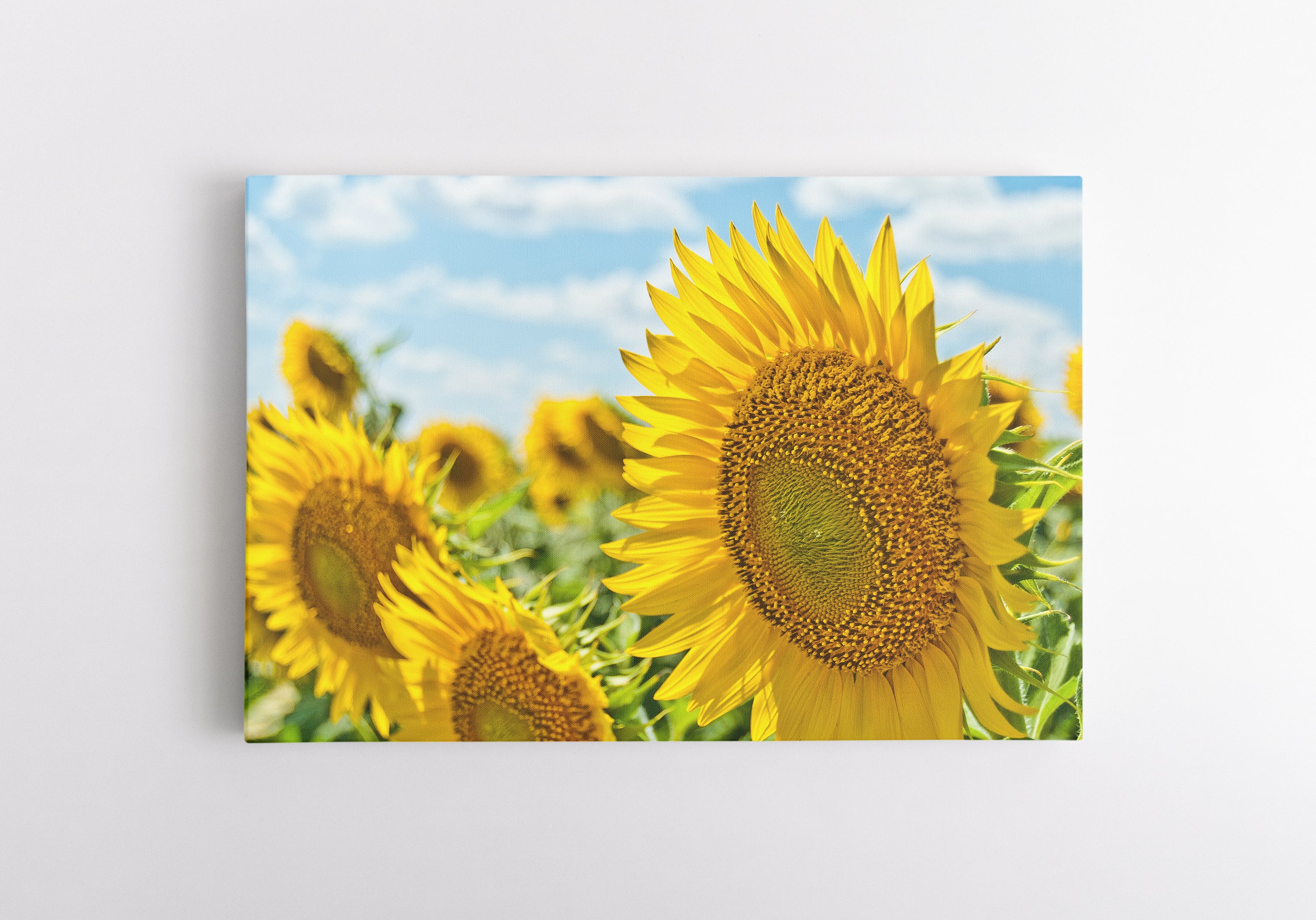 Sunflower Canvas Wall Art Wall Art for Living Room Bedroom Etsy
