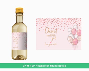 Pink Confetti and Balloons Birthday Mini Wine Label | Birthday Party Favors | Celebration Labels | Mini Bottle Labels | 187 ml Bottle Labels