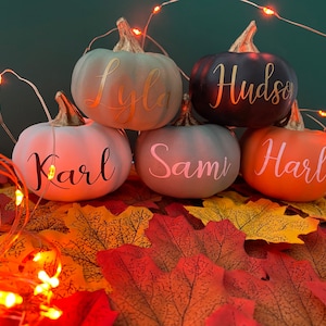 Personalised pumpkins- autumn decor- Halloween decor- pumpkins- mini pumpkins
