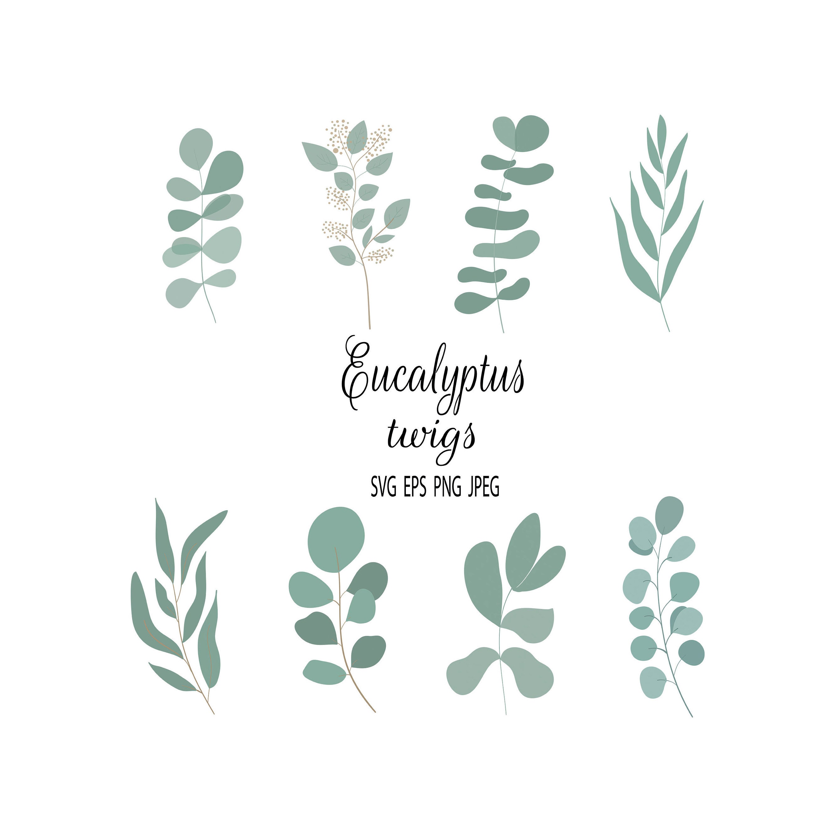 Eucalyptus SVG PNG Eucalyptus Print Set Botanical Svg Set Leaves Vector