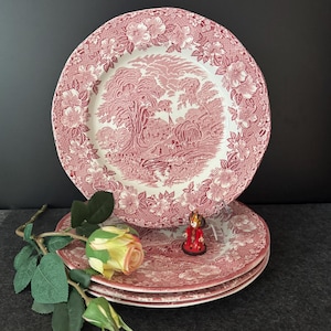 Può includere: Set di quattro piatti da portata floreali rosa con una scena di cottage al centro. I piatti hanno uno sfondo bianco con un bordo floreale rosa e una scena di cottage rosa al centro.