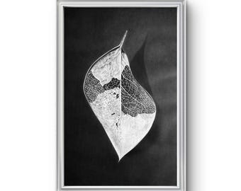 Disegno originale di una foglia, arte botanica da parete, opera d'arte naturalistica fatta a mano, schizzo botanico in bianco e nero, decorazione per il soggiorno, regalo di Natale