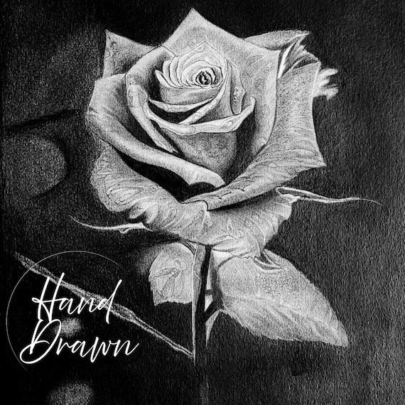 Rose of Silent Emotions – Love, Loss & Hope Pencil Drawing - Etsy