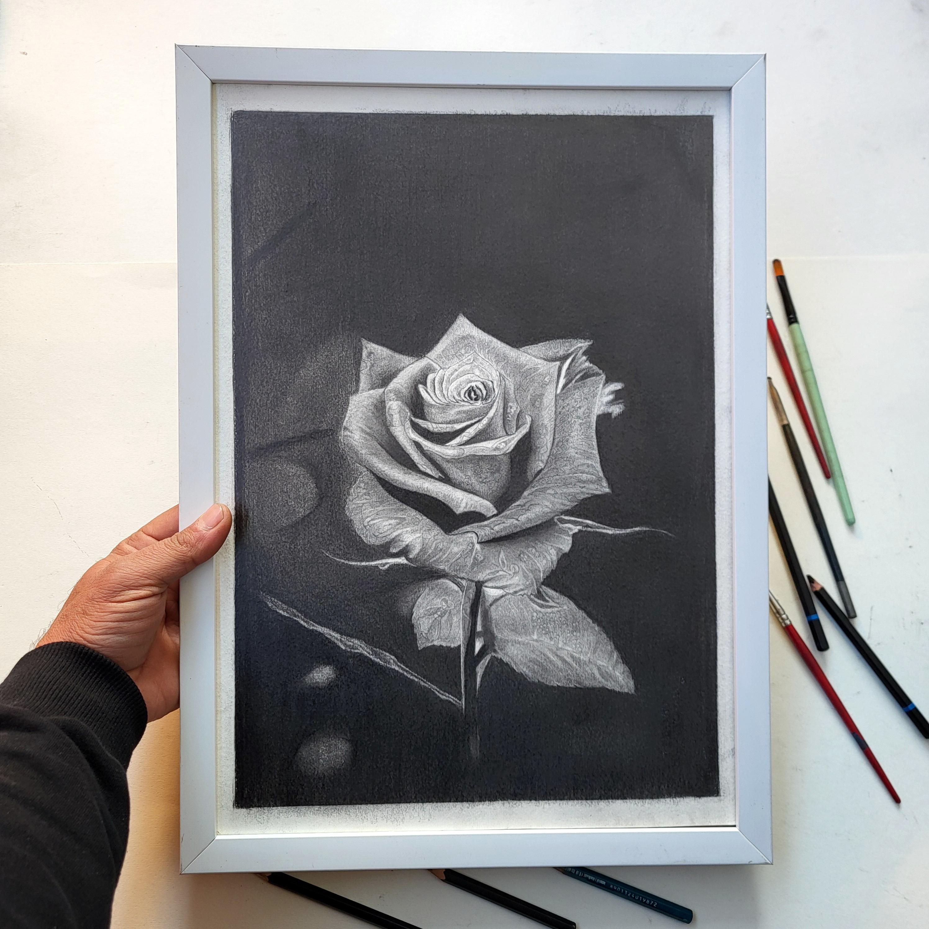 Rose of Silent Emotions – Love, Loss & Hope Pencil Drawing - Etsy