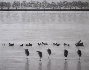 B&W Nature, scenery, lake art, minimalist drawing, morning lake, shape of water, duck family, crane family fine art pencil drawing bird life