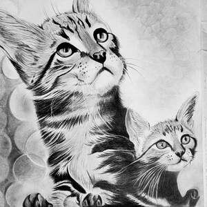 Handmade Cat & Kitten Pencil Drawing – Realistic Pet Portrait, Feline Artwork, Custom Animal Sketch, Gift