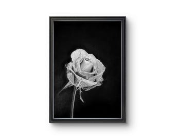 牡丹の植物の水墨画、牡丹の花、水墨画の花、オリジナルの水墨画