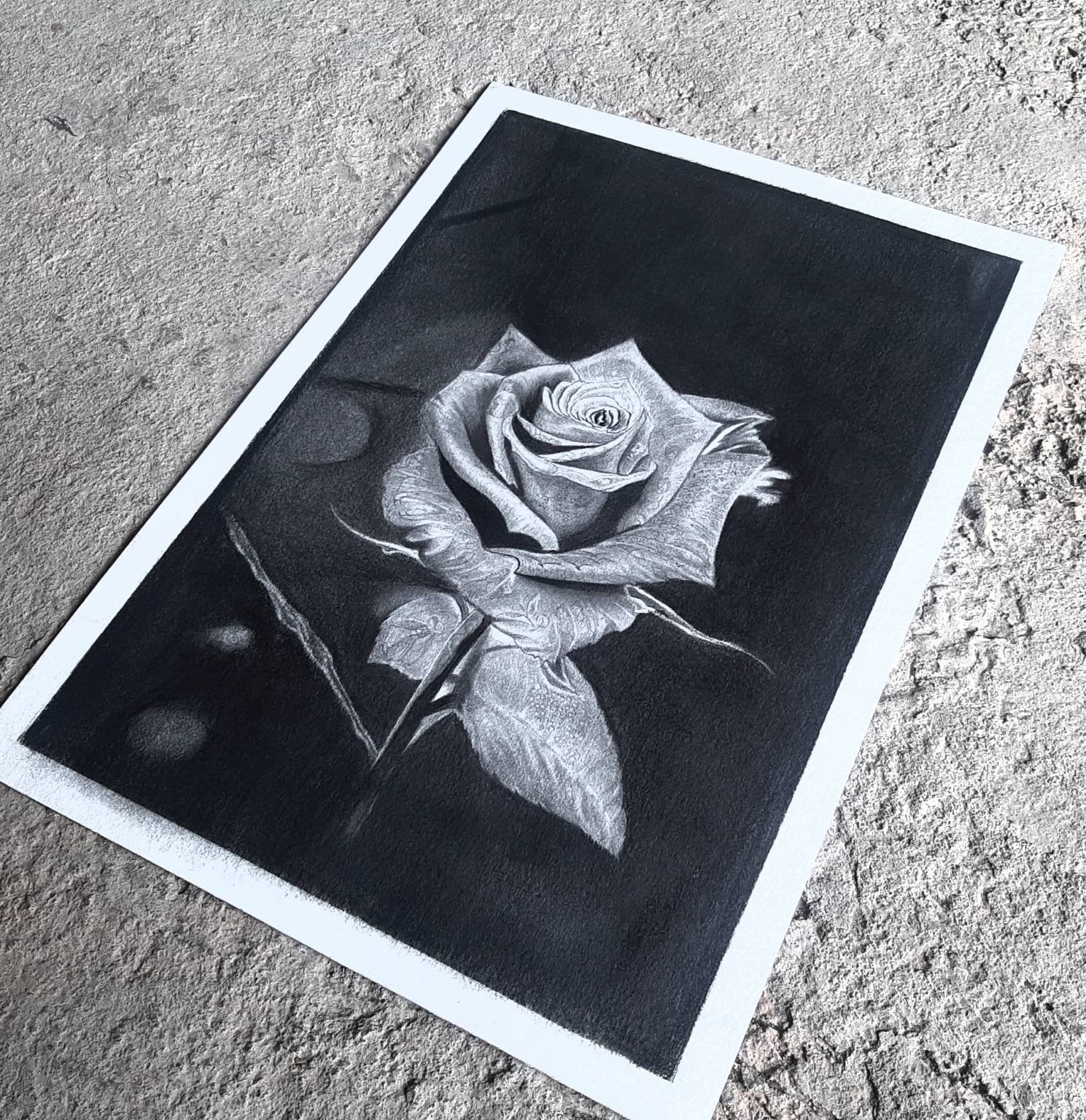 Realistic roses Hand drawing