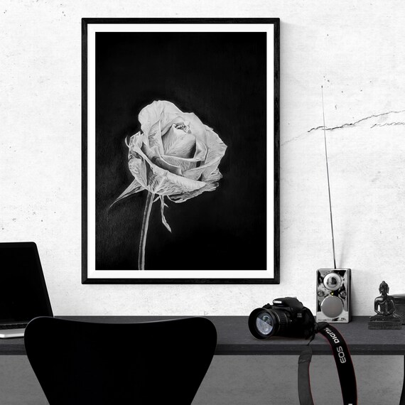 Original Black Rose Drawing, Realistic Gothic Floral Art, A3