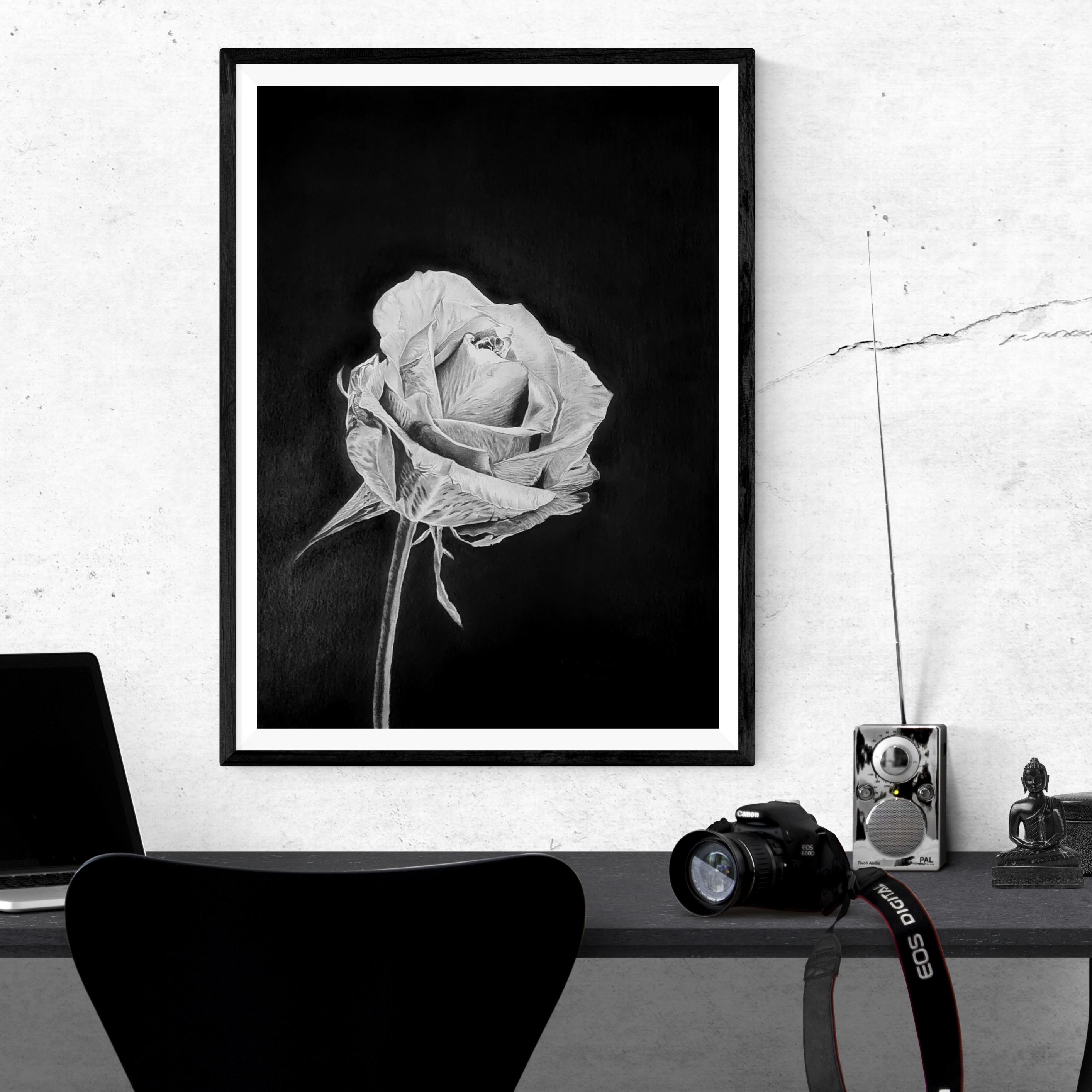 Original Black Rose Drawing, Realistic Gothic Floral Artwork, A3