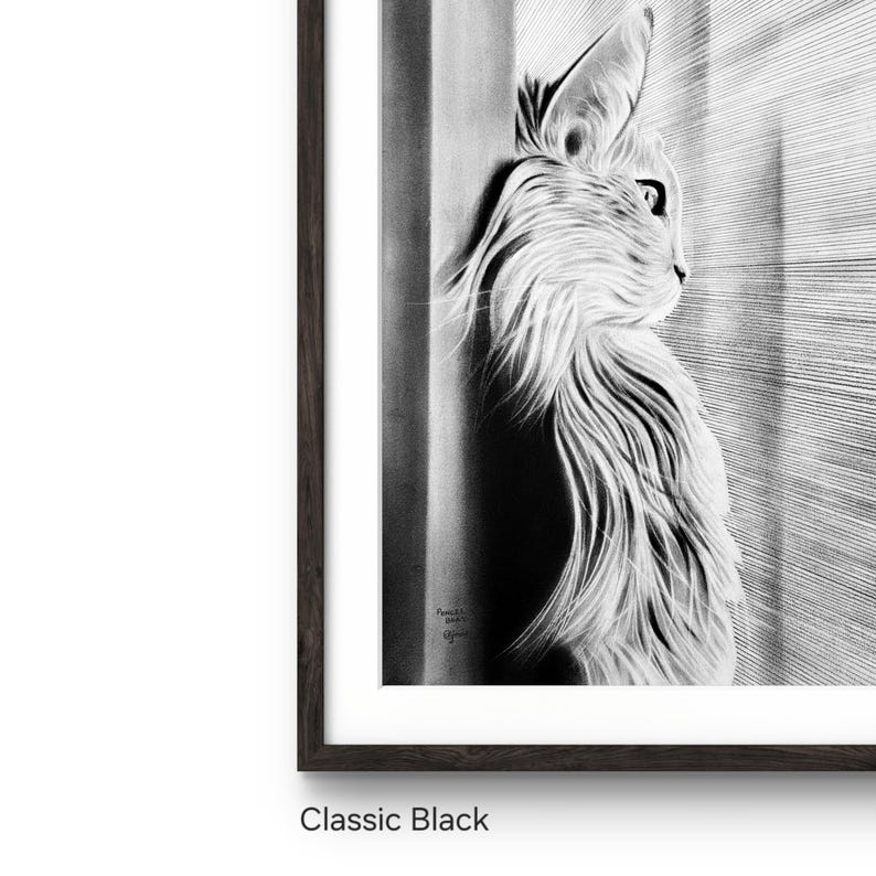 以下が含まれることがあります： 窓の外を見ている猫の白黒鉛筆画。猫は右を向いており、長い毛並みをしている。絵は黒い額縁に入っている。