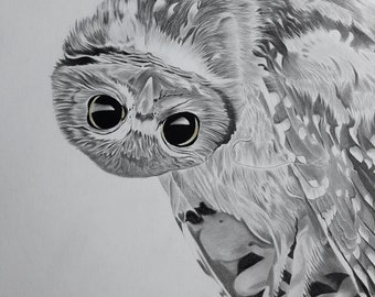 Swooping -Fine Art, 23" Square Graphite Owl Drawing Minimalist Art Illustration Bird Black & White Wildlife Art Charcoal bird Animal Sketch