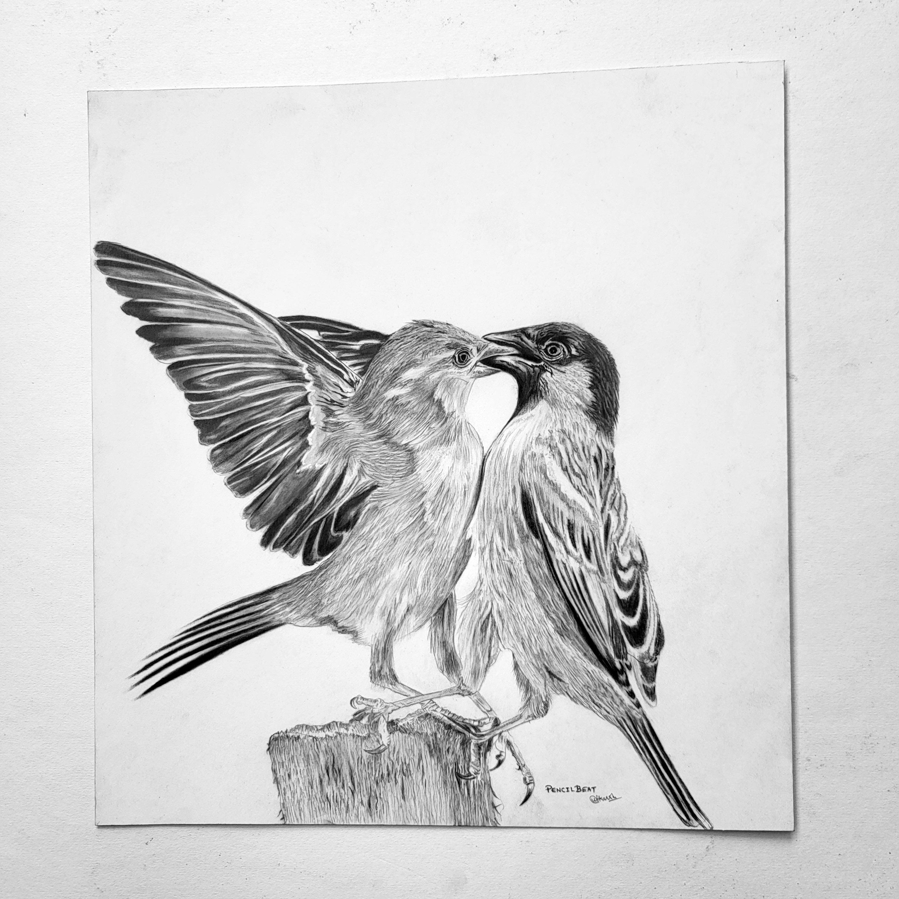 Original Birds in Love Pencil Drawing Handmade Wildlife Bird Art
