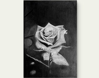 隠された秘密のバラ｜オリジナル鉛筆画｜リアルなグラファイト花柄
