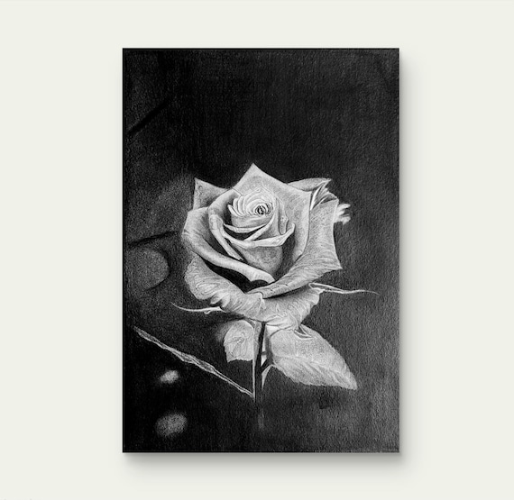 Hidden Secrets Rose | Original Pencil Drawing | Realistic Graphite
