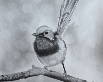 Wren Painting - Wren Pencil Painting - Hand Signed Original graphite Painting of a Wren- Bird Art