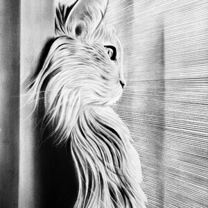 以下が含まれることがあります： 窓の外を見ている猫の白黒鉛筆画。猫はリアルなスタイルで描かれており、毛並みとヒゲが細かく描かれている。背景はシンプルな線の模様である。