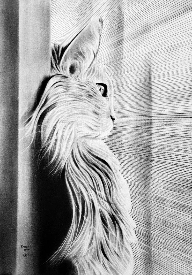 以下が含まれることがあります： 窓の外を見ている猫の白黒鉛筆画。猫はリアルなスタイルで描かれており、毛並みとヒゲが細かく描かれている。背景はシンプルな線の模様である。