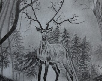 Kashmir stag, deer in a forest,  pencil drawing, fantasy forest, animal drawing, antique illustration, the deer king, ready to hang, deer