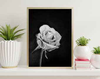 Original Black Rose Drawing, Realistic Gothic Floral Art, A3