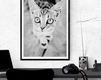 手作りの猫の鉛筆画：超リアルなグラファイトアートのリビングルーム装飾（11.7インチ×16.5インチ）